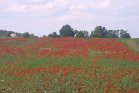 246-4624_IMG